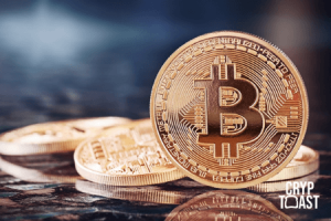 21 % des Bitcoins sont immobiles depuis plus de 5 ans