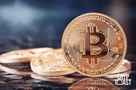 21 % des Bitcoins sont immobiles depuis plus de 5 ans