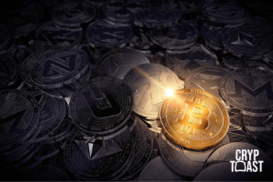 Une investisseuse en BTC chevronnée met en garde les “Bitcoin maximalists”