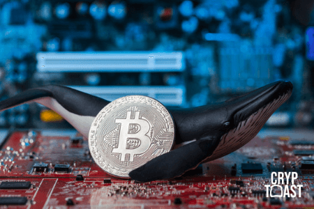 La moitié du Bitcoin serait détenue par seulement 4650 wallets