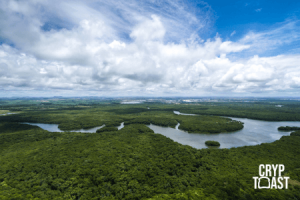 Des cryptos utilisées pour lutter contre la déforestation de la forêt amazonienne