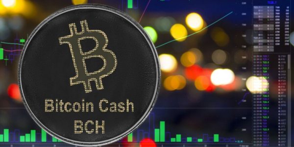 Roger Ver distribue 5 000 dollars en Bitcoin Cash à ses amis Facebook