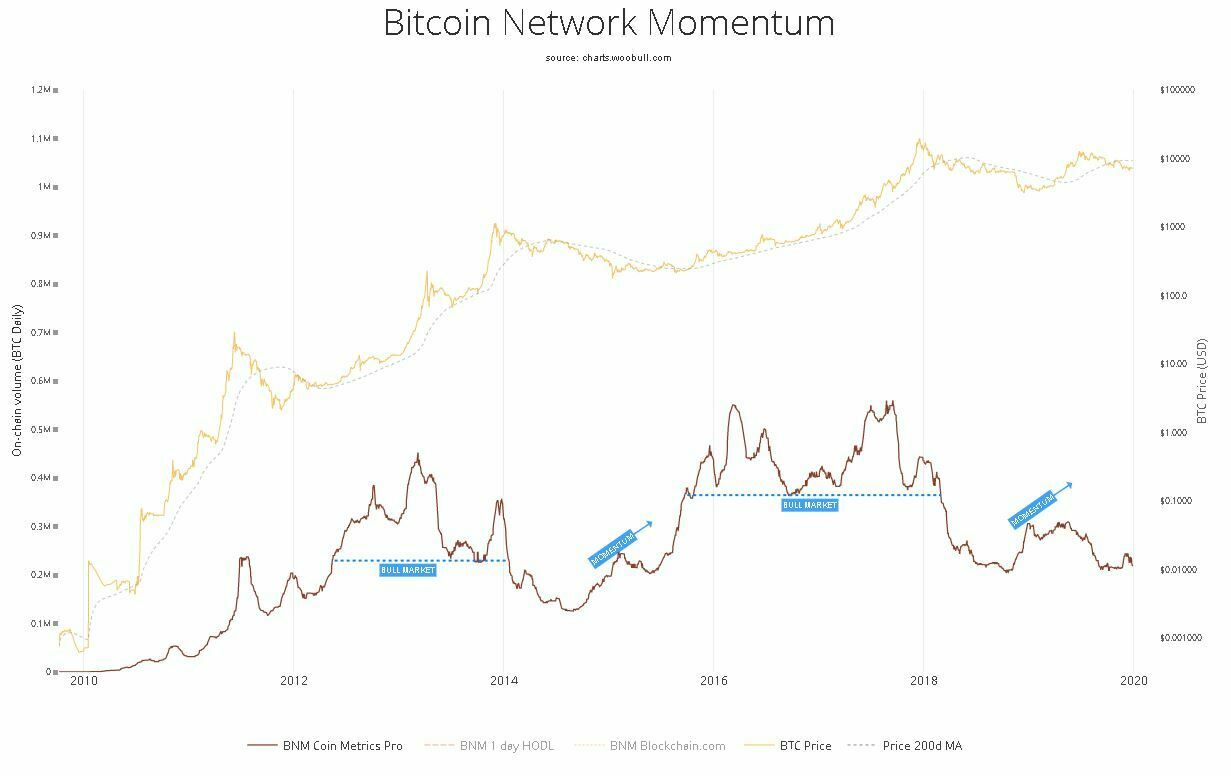 bitcoin network momentum
