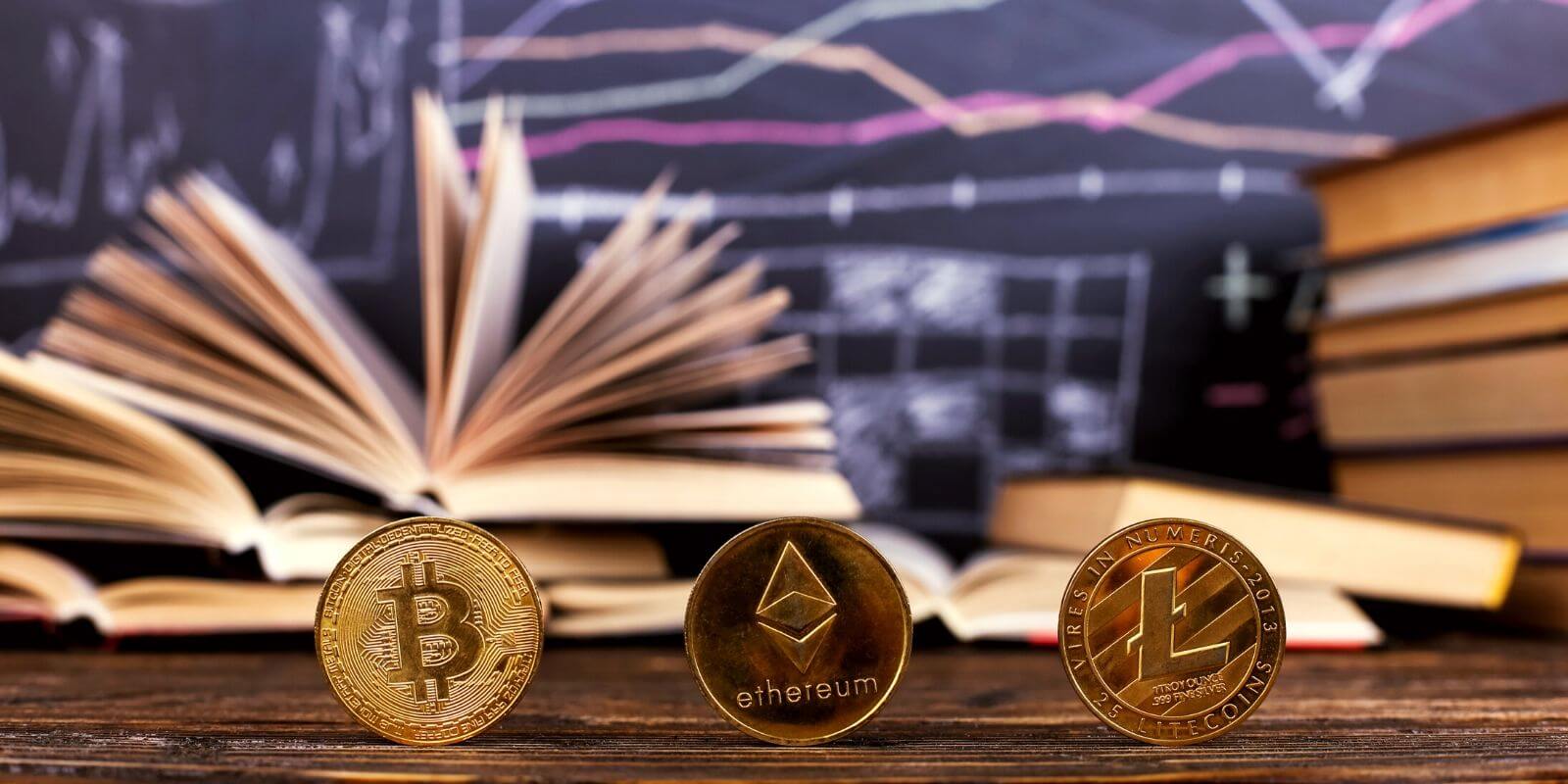 Gestion de vos crypto-actifs : portefeuilles et moteurs de recherche