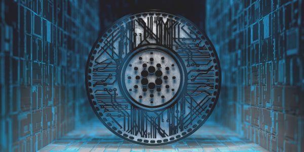 Le testnet Shelley de Cardano débute avec 3,6 milliards d'ADA stakés