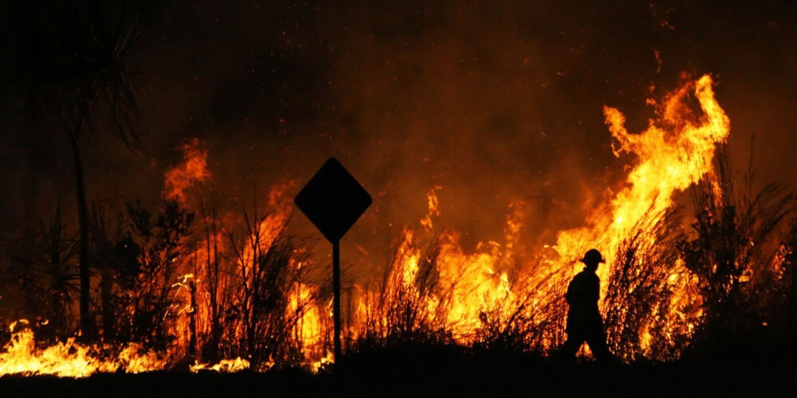 Incendies en Australie : vous pouvez maintenant envoyer vos dons en cryptos