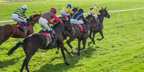 Marchés : les altcoins en pleine forme, le Bitcoin lâche du terrain