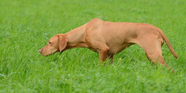 Un nouvel outil franco-autrichien pour pister les utilisateurs de crypto-monnaies