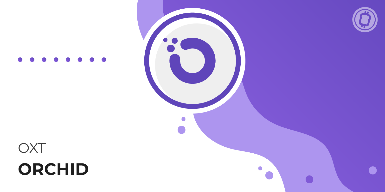 Orchid Network : le VPN open-source, décentralisé et peer-to-peer