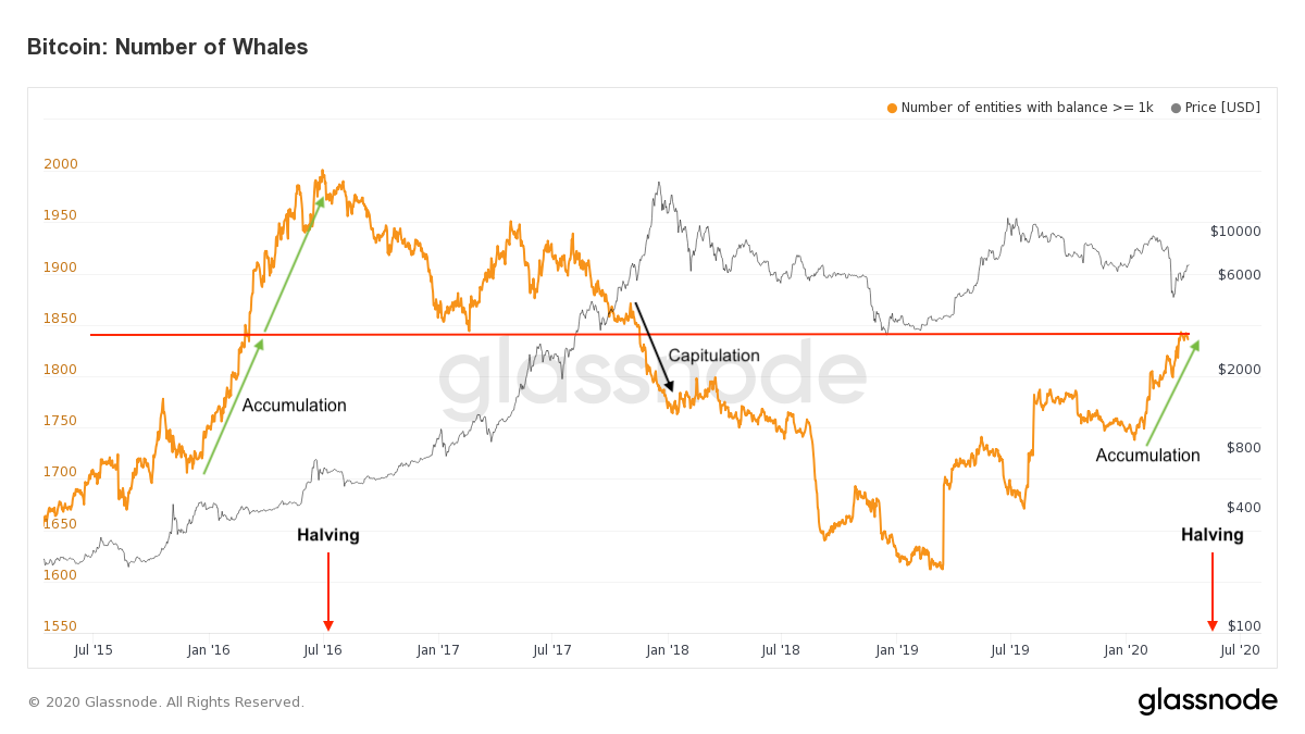 Whale accumulation Bitcoin BTC halving