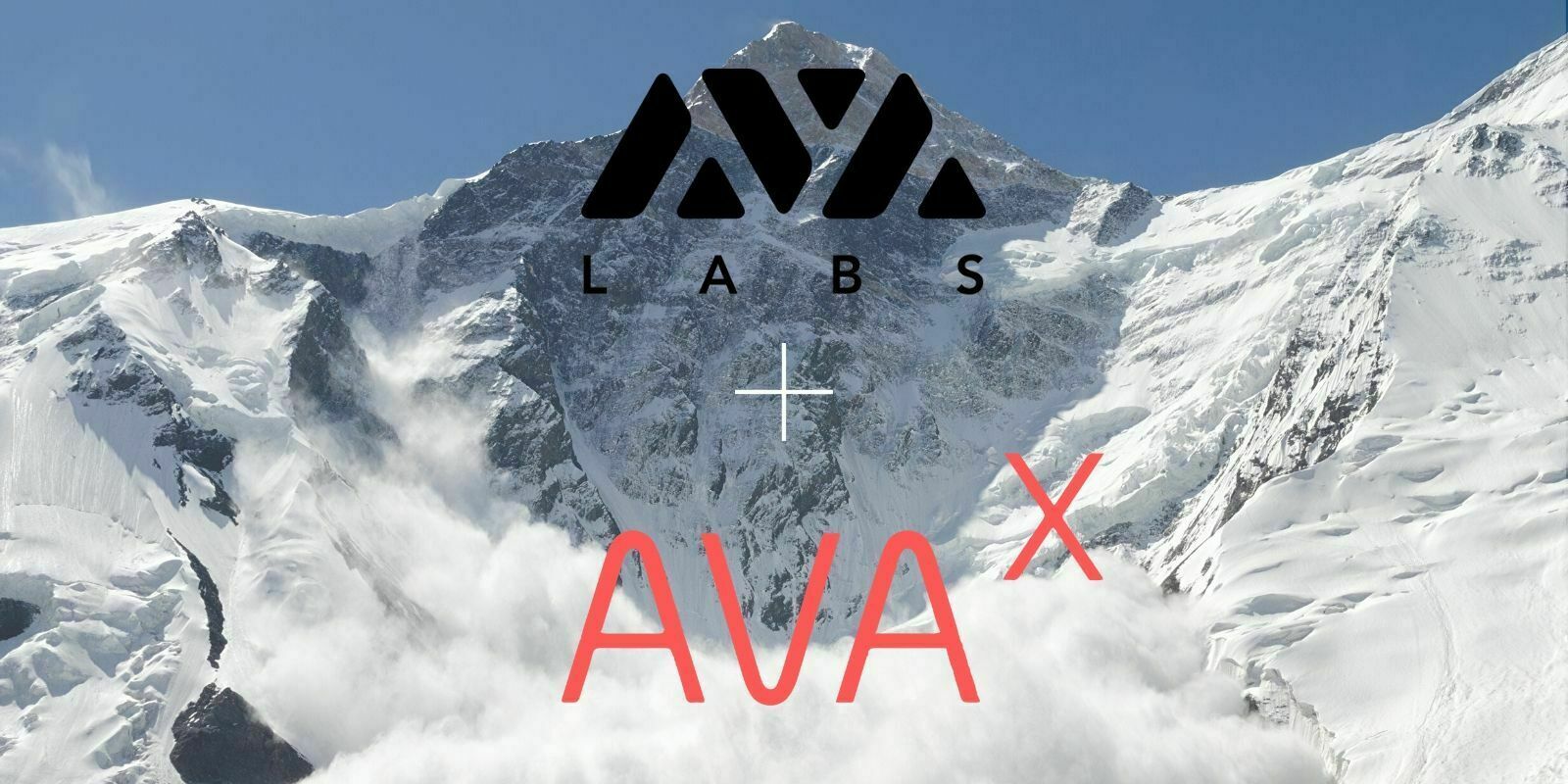AVA Labs lance AVA-X, le programme de développement de son écosystème