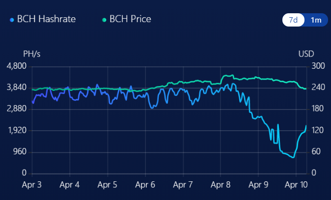 Hashrate Bitcoin Cash