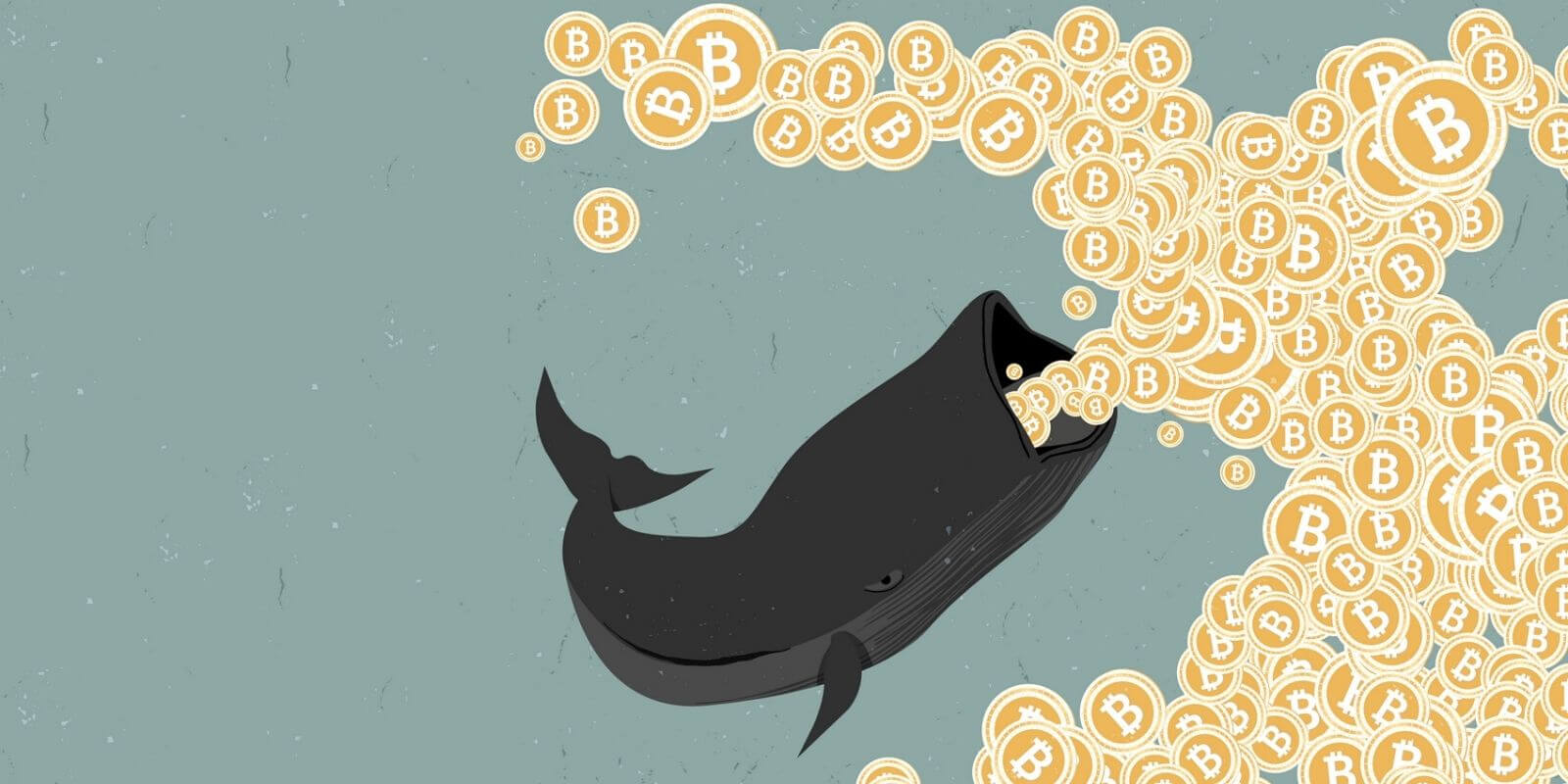 Glassnode : l’heure est à l’accumulation pour le BTC