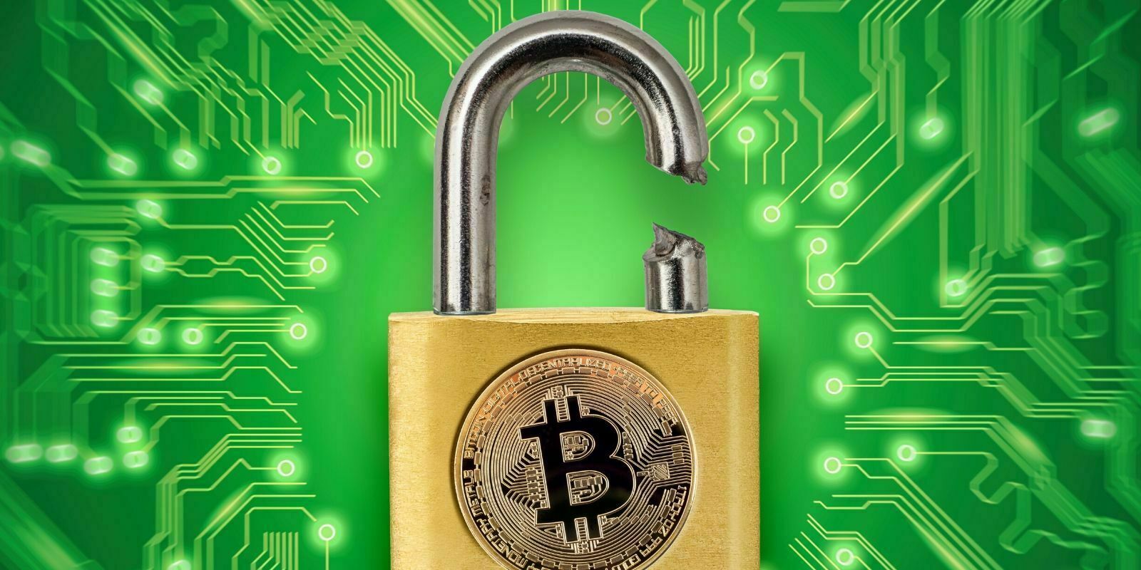 Cold wallet et phrases de récupération : pouvez-vous récupérer toutes vos cryptos ?