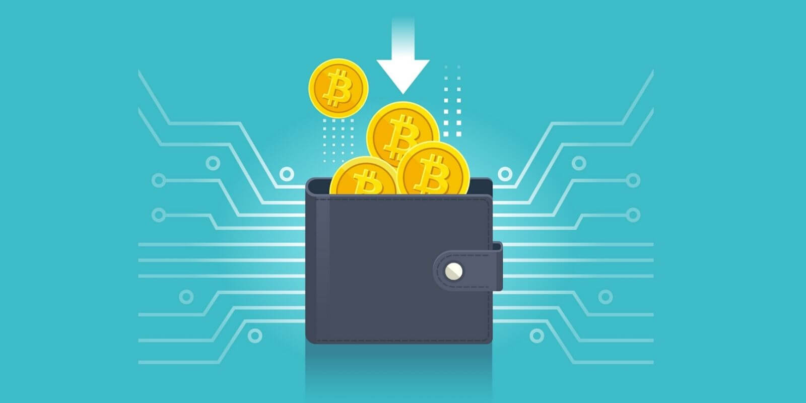 Adoption du BTC : +24% d’adresses Bitcoin créées depuis l’année dernière