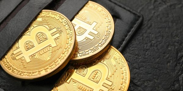 Sondage : les Bitcoiners privilégient les hardware wallets