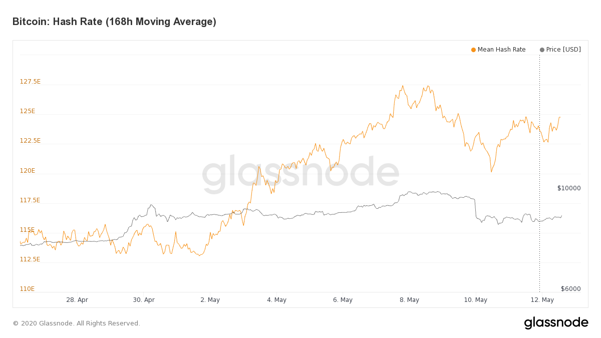 Hashrate Bitcoin halving