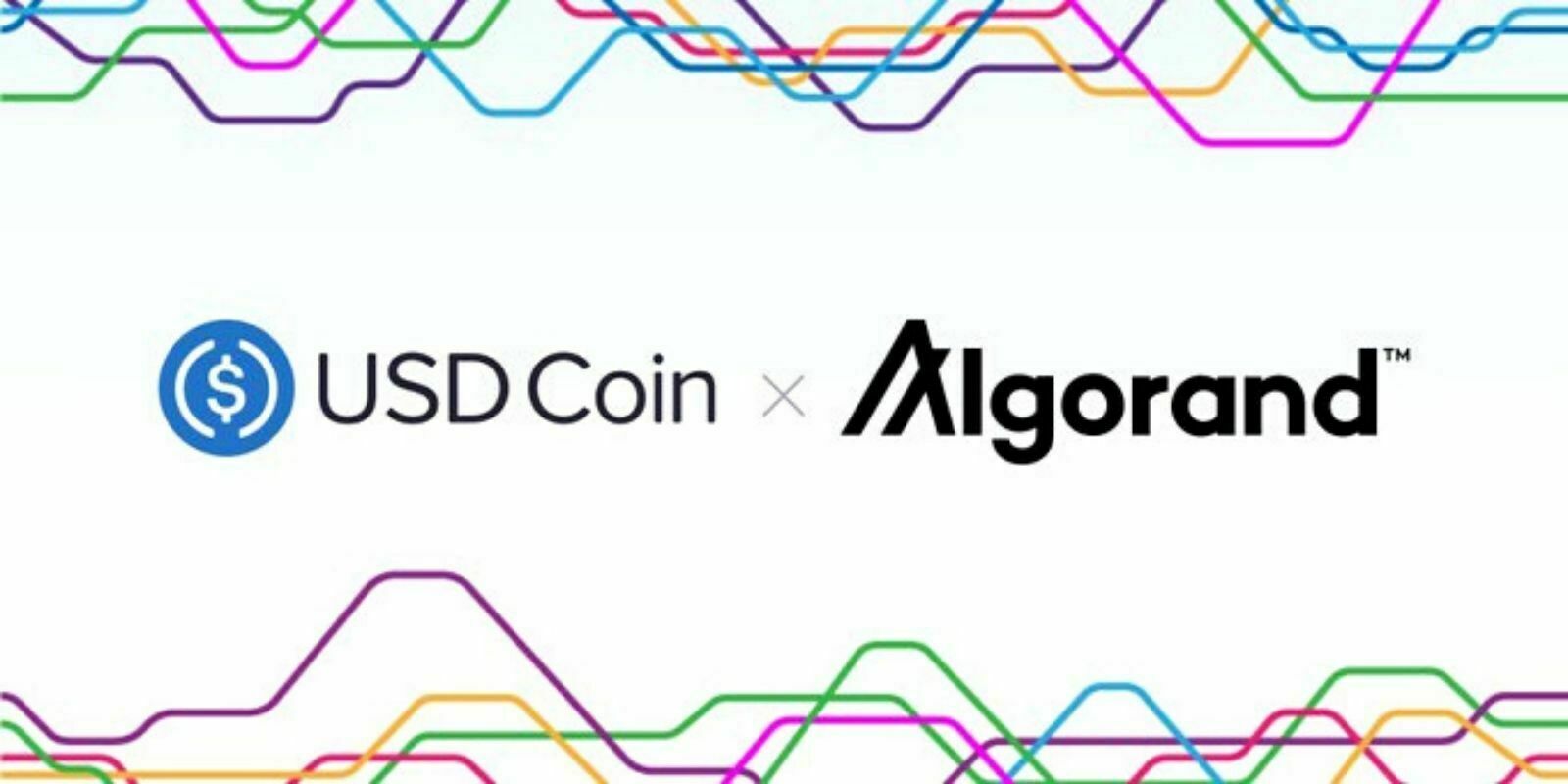 Circle déploie son stablecoin USDC sur la blockchain Algorand