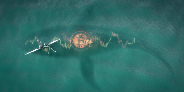 Une whale déplace 1.3 milliard de dollars en BTC pour moins de 2$