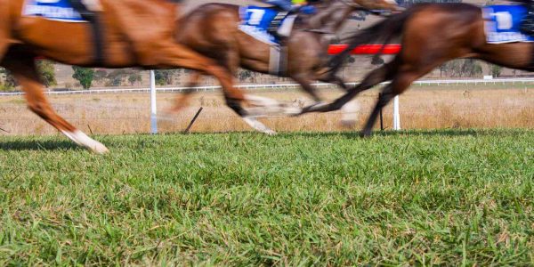 4 altcoins qui ont bondi ces derniers jours