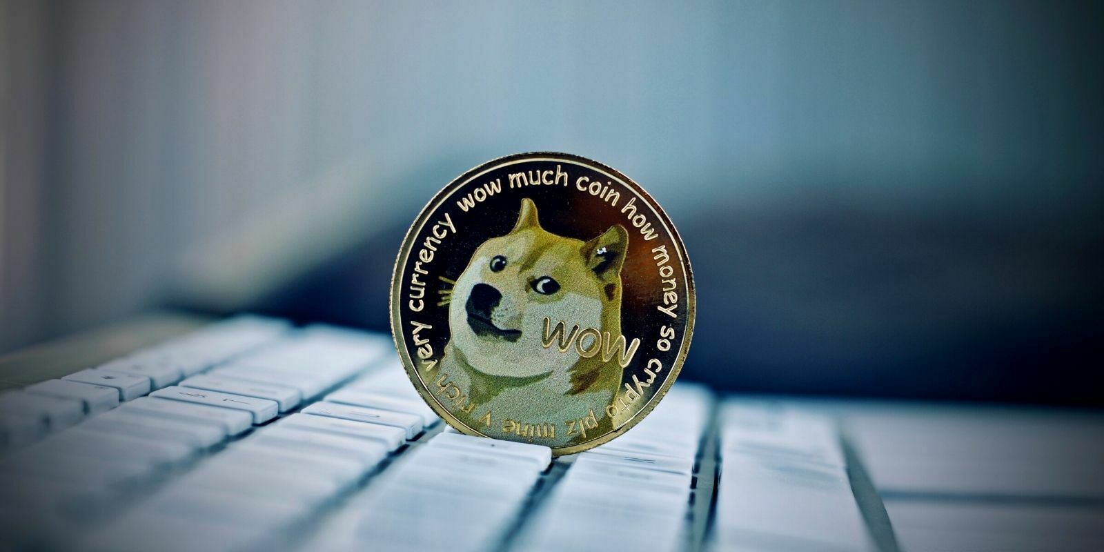 Cryptojacking : des hackers utilisent Dogecoin pour infiltrer des serveurs