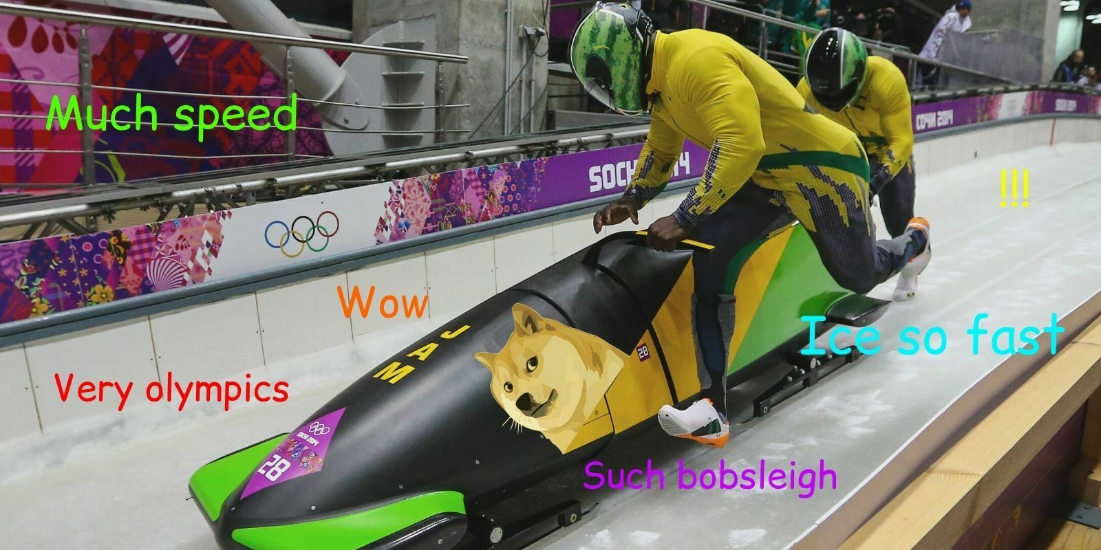 Il était une fois... le Dogecoin, la Jamaïque et le bobsleigh