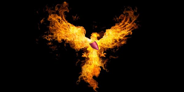 Malgré son lancement catastrophique, Yam.Finance renaît de ses cendres