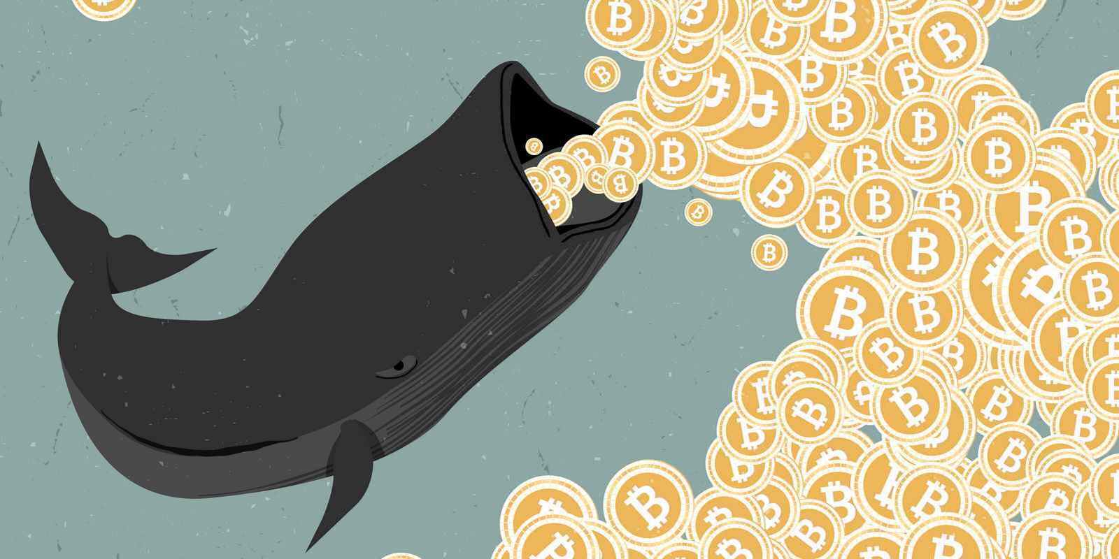 Bitcoin - deux signes que les whales sont en phase d’accumulation