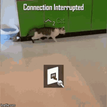 Interruption connexion