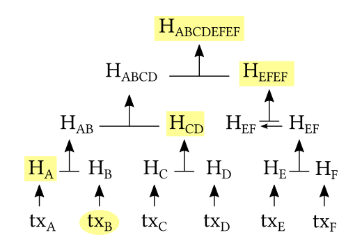 Arbre de Merkle Bitcoin SPV
