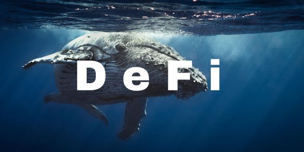 La plupart des tokens DeFi sont détenus par les 500 premières adresses