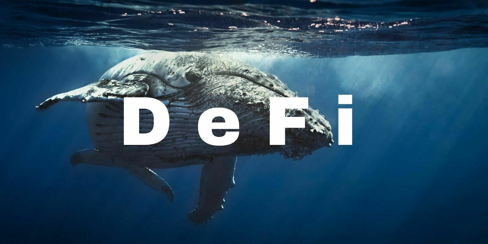 La plupart des tokens DeFi sont détenus par les 500 premières adresses