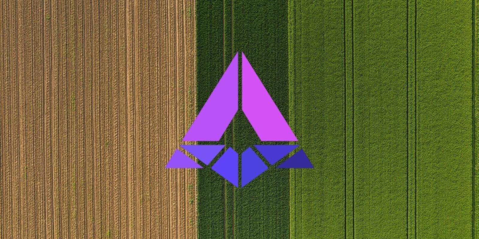 L'agrégateur de protocoles de yield farming APY.Finance lève 3,6M$