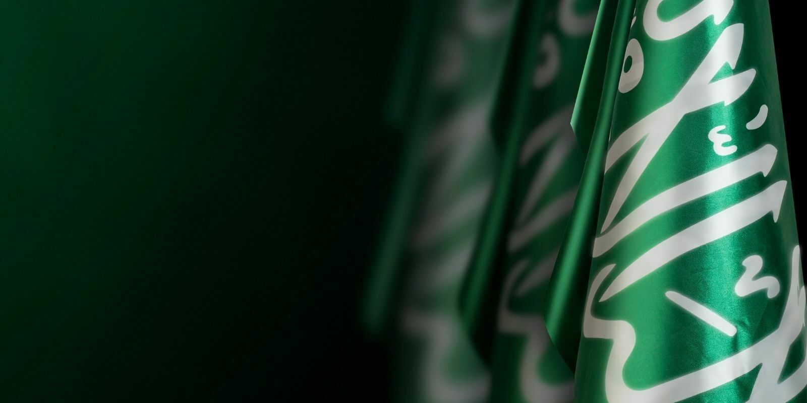 L'Arabie saoudite propose un passeport d'affaires blockchain à l’OCDE