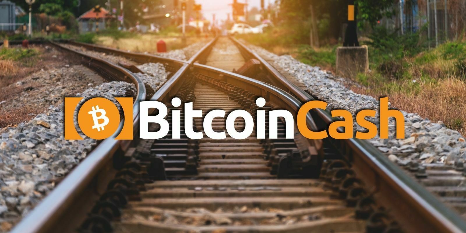 Bitcoin Cash : vers une nouvelle scission en novembre ?