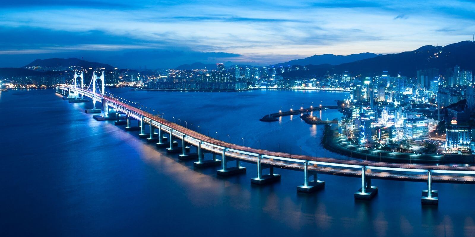 Busan : 60% des entreprises de la Blockchain Free Zone ignorent ce qu’est la blockchain