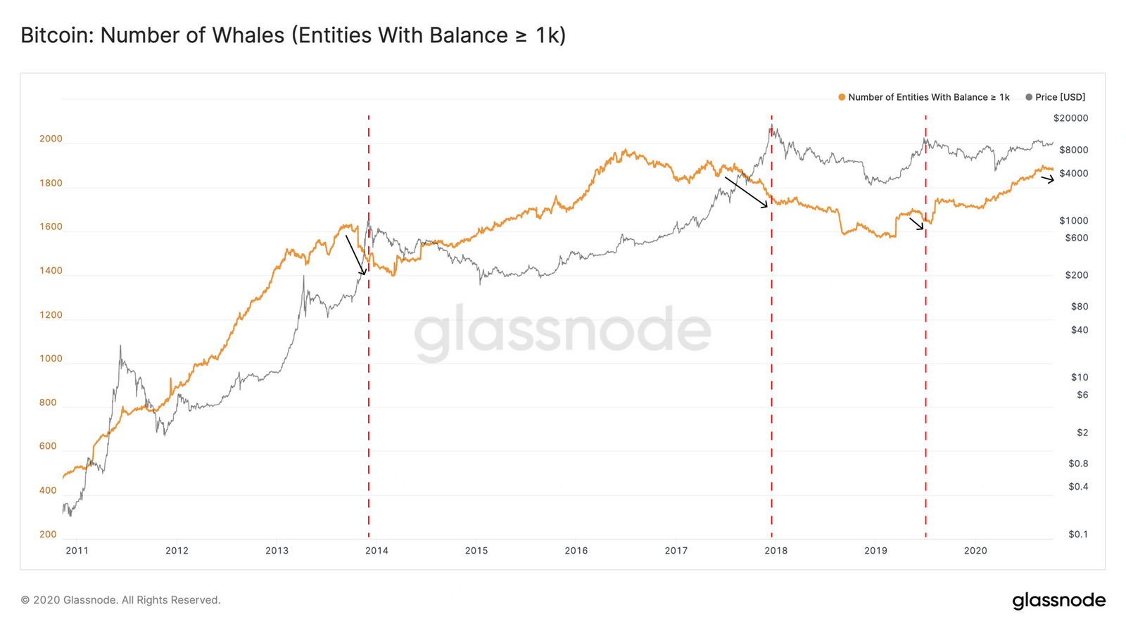 Bitcoin BTC progression du nombre de whales bull run Bitcoin BTC progression du nombre de whales bull run