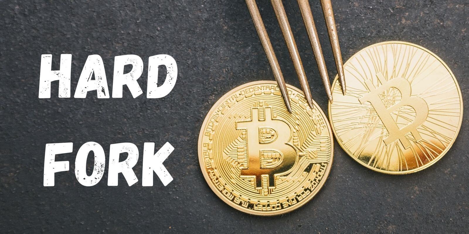 Hard fork du Bitcoin Cash (BCH) : qui gagnera la bataille ?
