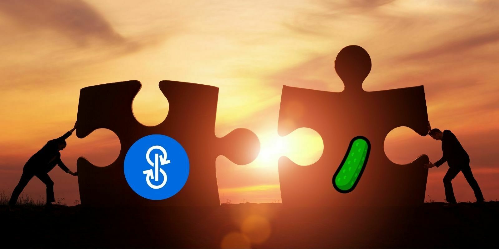 Première fusion dans la DeFi avec l’absorption de Pickle par Yearn.Finance