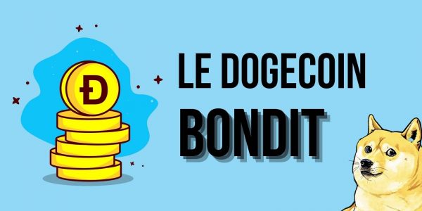 Pourquoi le Dogecoin (DOGE) a-t-il bondi de +250% en seulement 12 heures ?