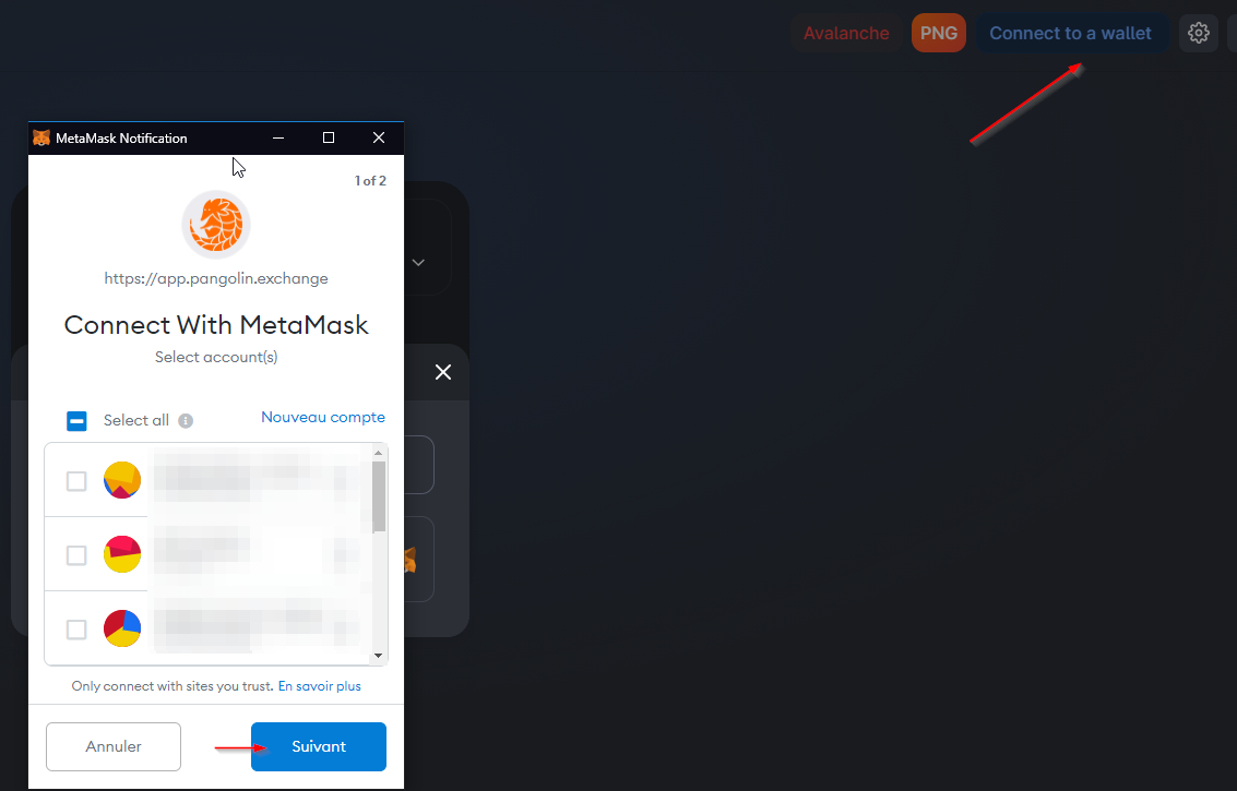 Pangolin Connexion MetaMask