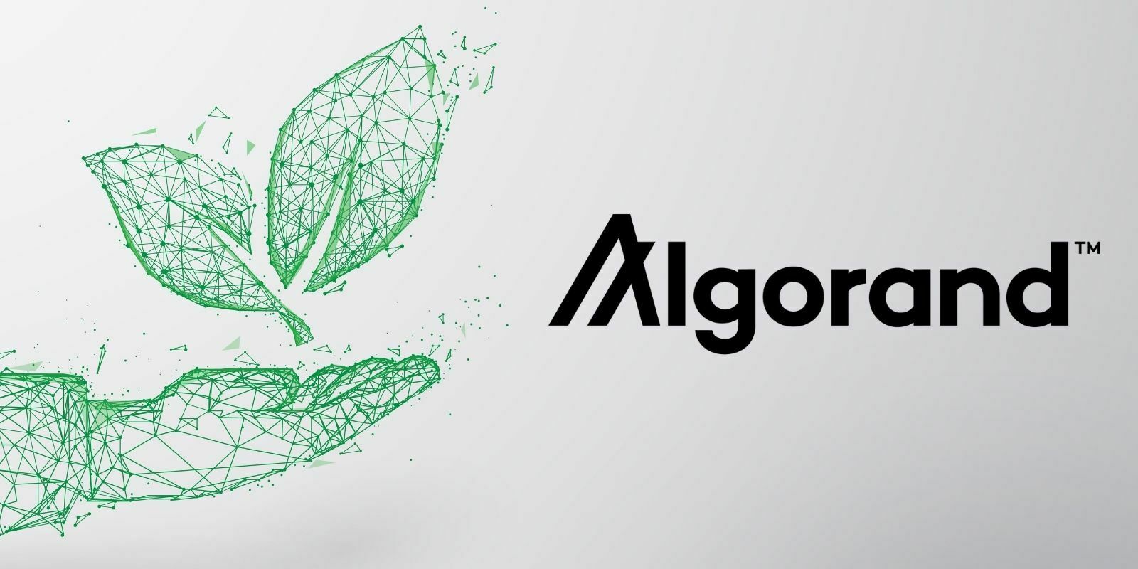 Algorand (ALGO) s'engage à devenir une blockchain neutre en carbone