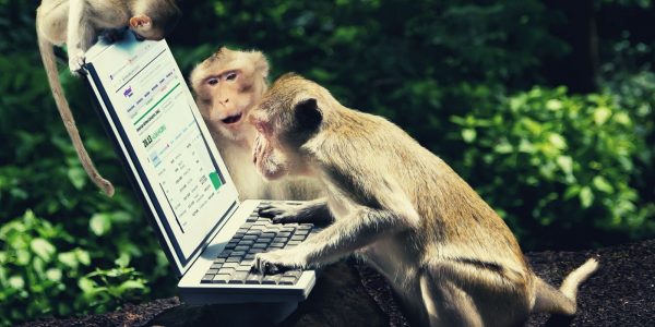 Avec la tendance actuelle du marché, jusqu'où ira la « Ape » ?