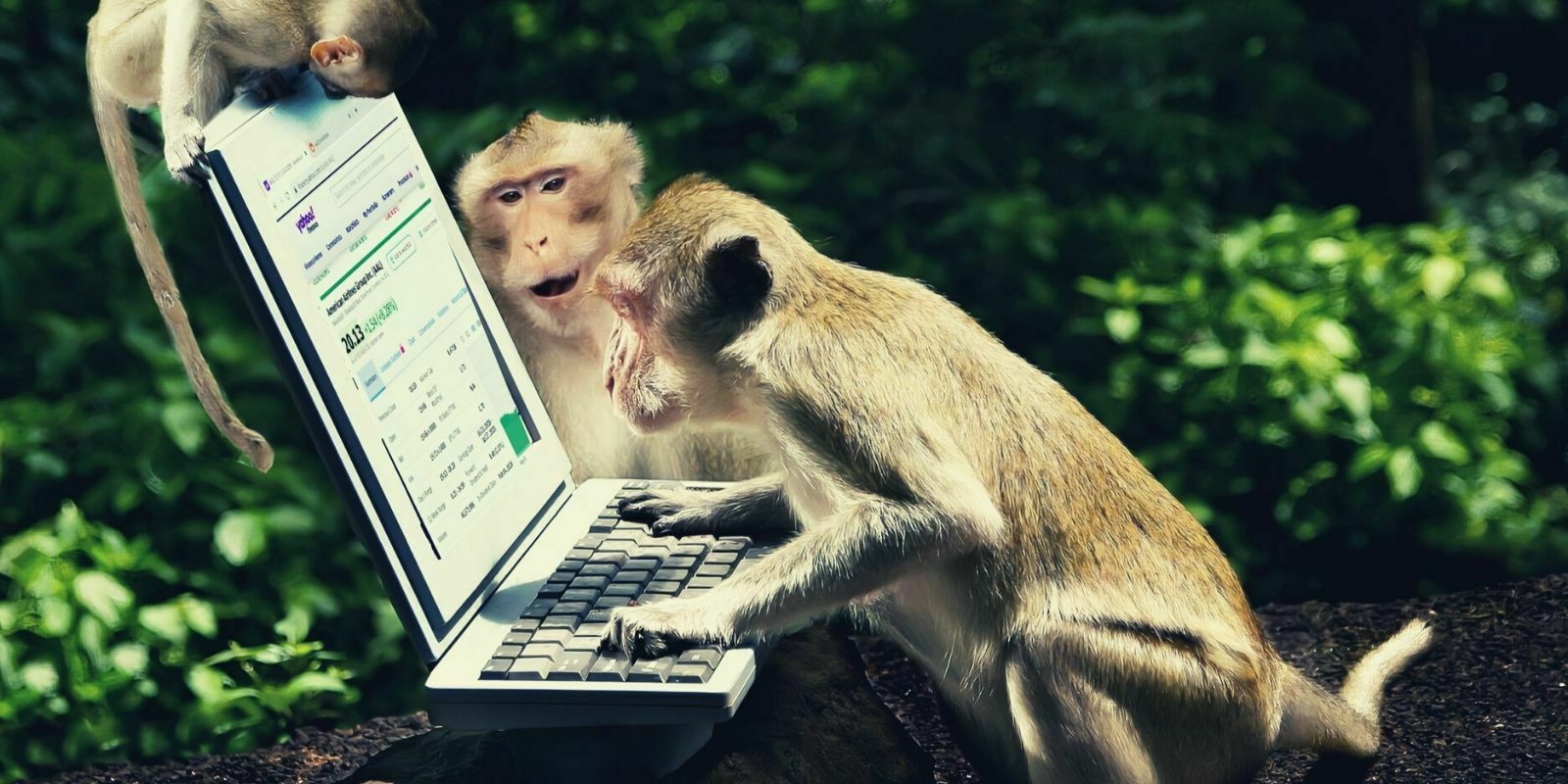 Avec la tendance actuelle du marché, jusqu'où ira la « Ape » ?