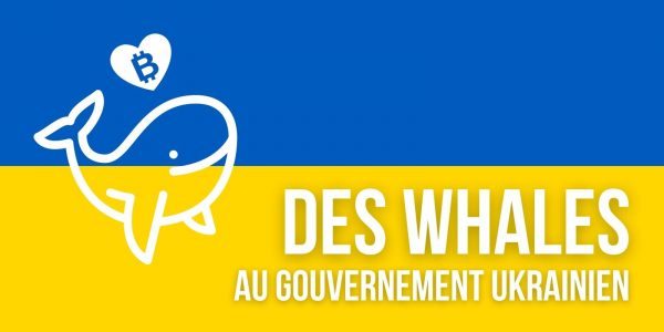 Ukraine : les employés du gouvernement détiennent 2,6 milliards de dollars en bitcoins (BTC)