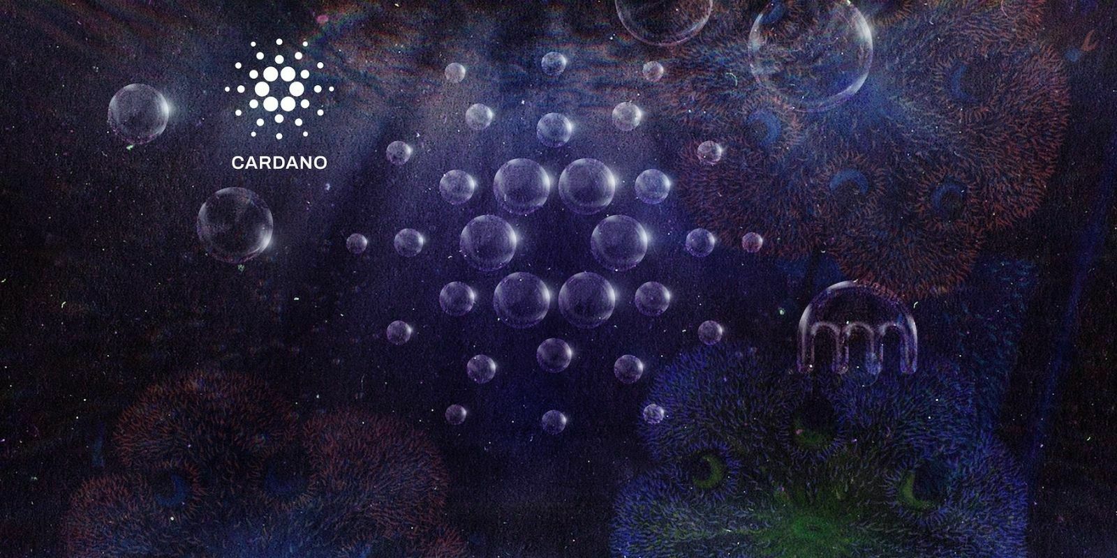 Le staking de l'ADA de Cardano débarque sur la plateforme Kraken