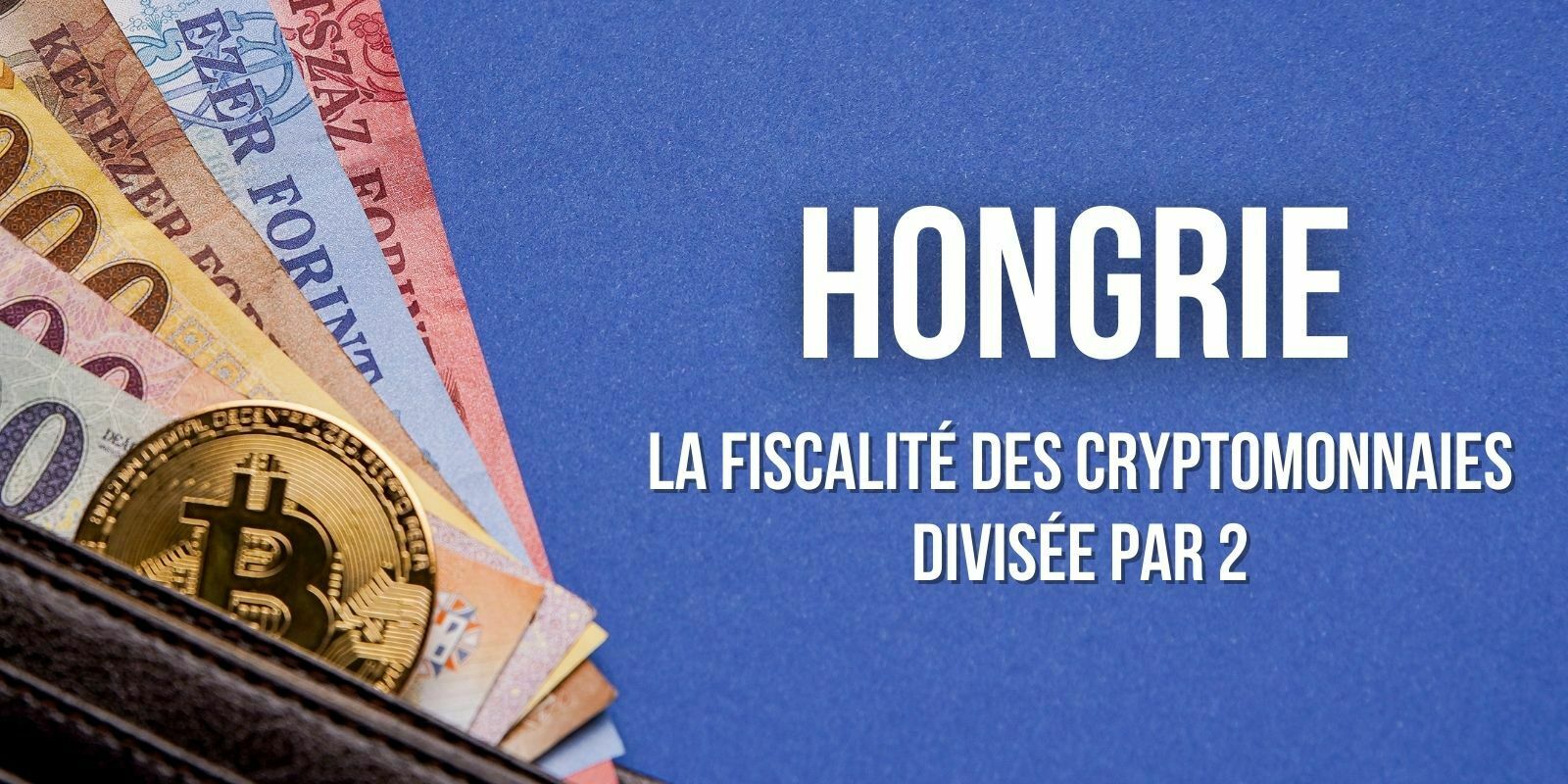 La Hongrie envisage de réduire de moitié l'impôt sur les plus-values en cryptomonnaies