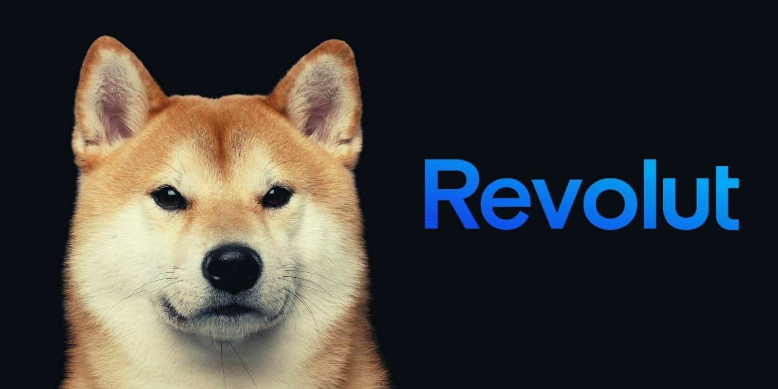 Revolut serait sur le point d'ajouter le Dogecoin (DOGE) à son service de trading