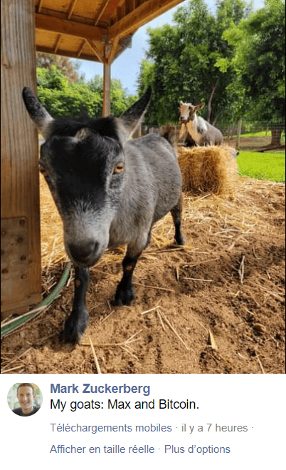 Mark Zuckerberg Bitcoin BTC
