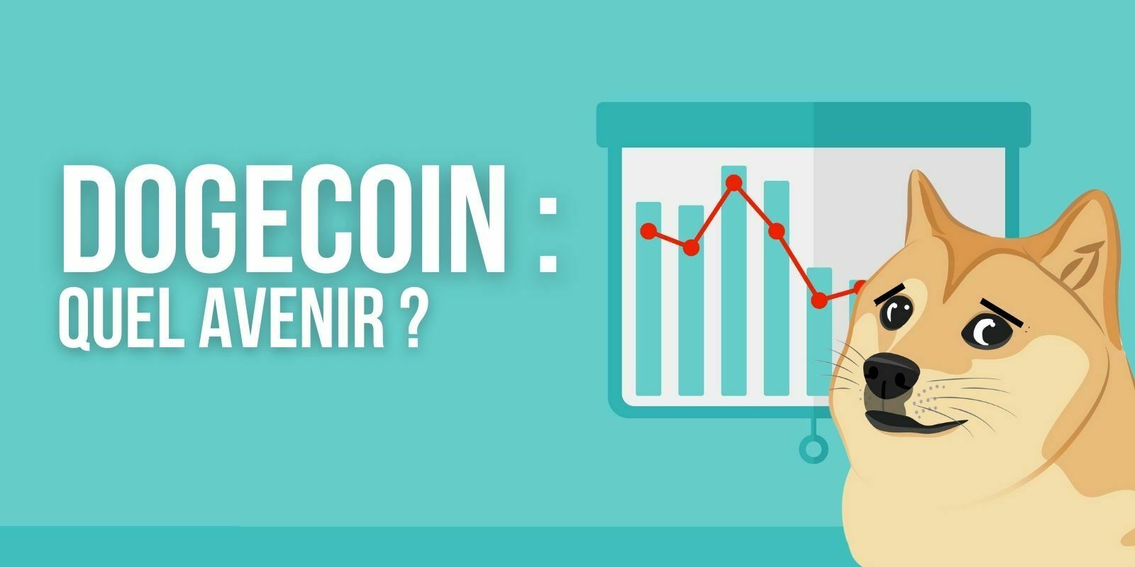 Le PDG de Grayscale très pessimiste sur l’avenir du Dogecoin (DOGE)